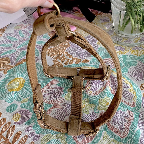 2 heavy dog harnesses. Great for frenchie, pug or any other stocky dog. EC.S & M - Picture 1 of 16